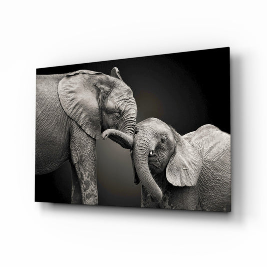 Two elephants nuzzling glass wall art black and white affection tempered glass