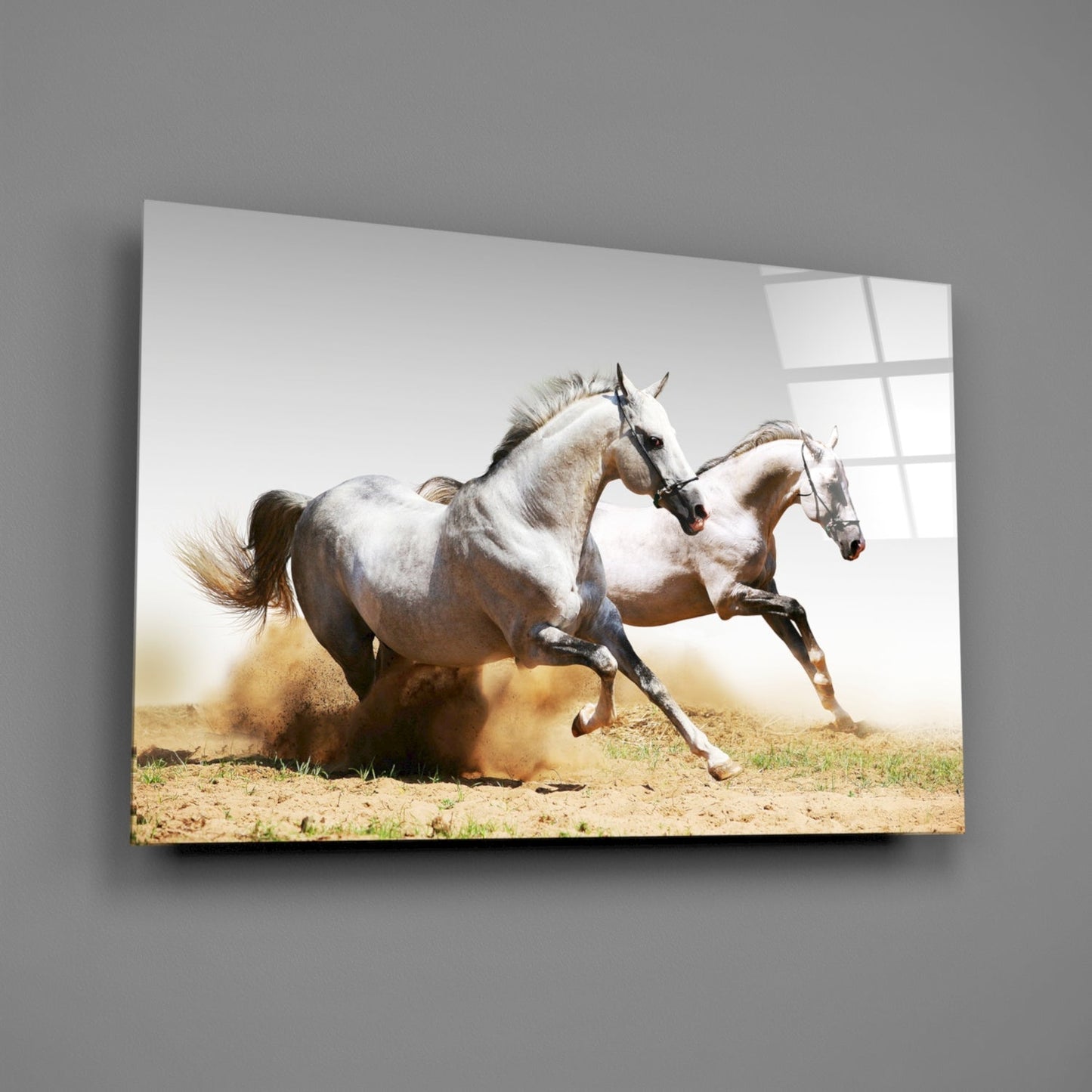 Two Arabian Horses Glass Wall Art