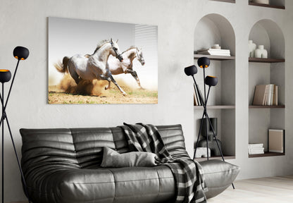 Two Arabian Horses Glass Wall Art