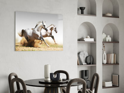 Two Arabian Horses Glass Wall Art