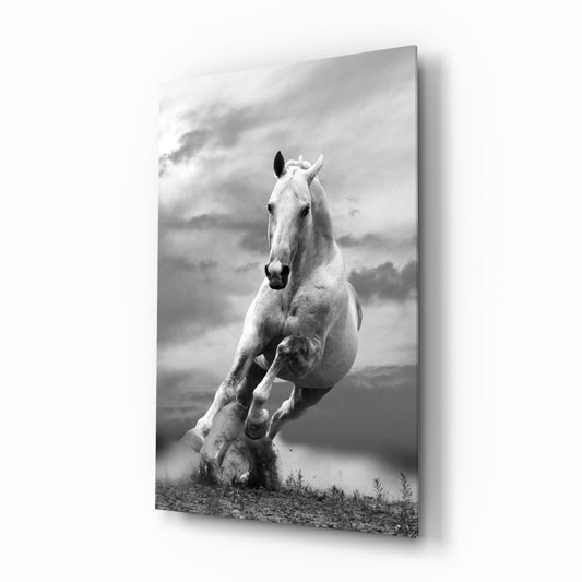 White horse charging through dust in black and white, running horse glass wall art on tempered glass