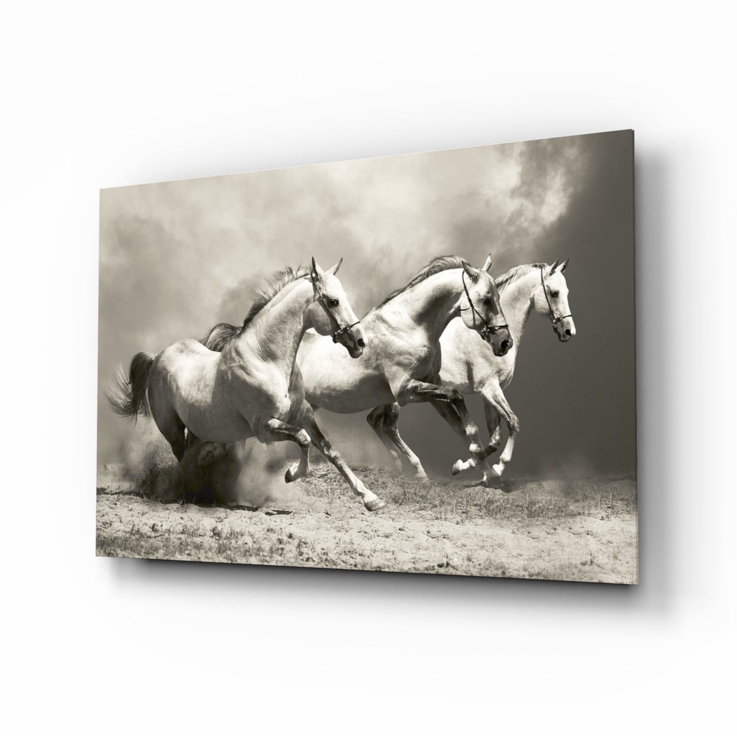 Three white running horses in golden dust under sepia sky, glass wall art on tempered glass