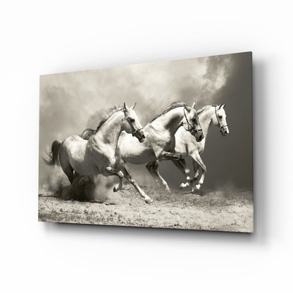 Three white running horses in golden dust under sepia sky, glass wall art on tempered glass