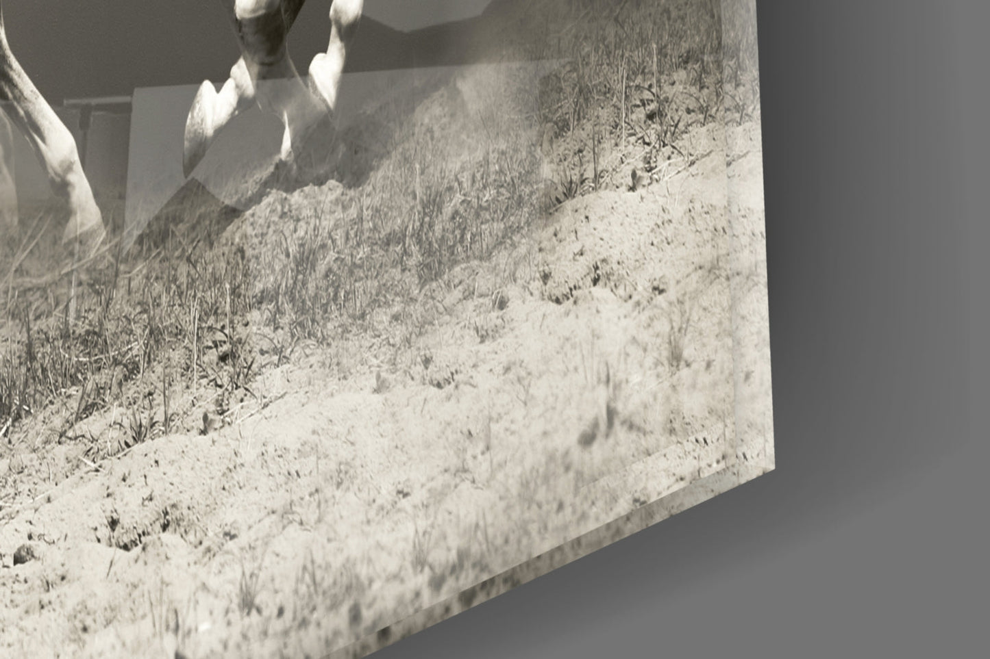 Three Running Horses Glass Wall Art