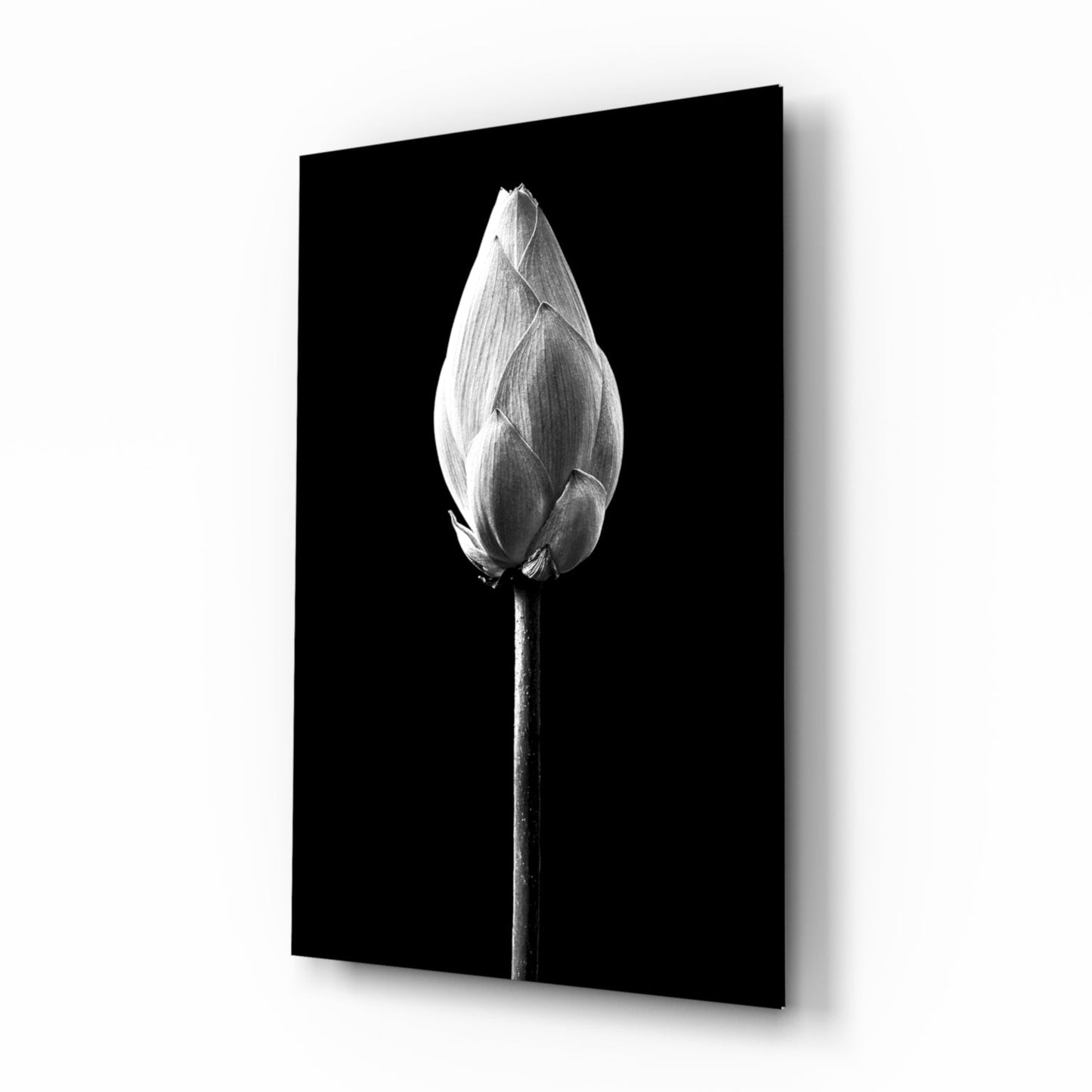 Monochrome lotus bud glass wall art