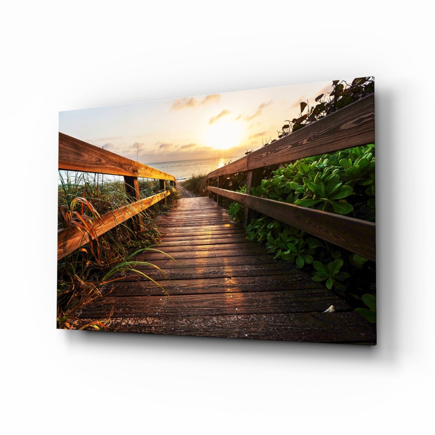 Golden Dune Boardwalk Glass Wall Art