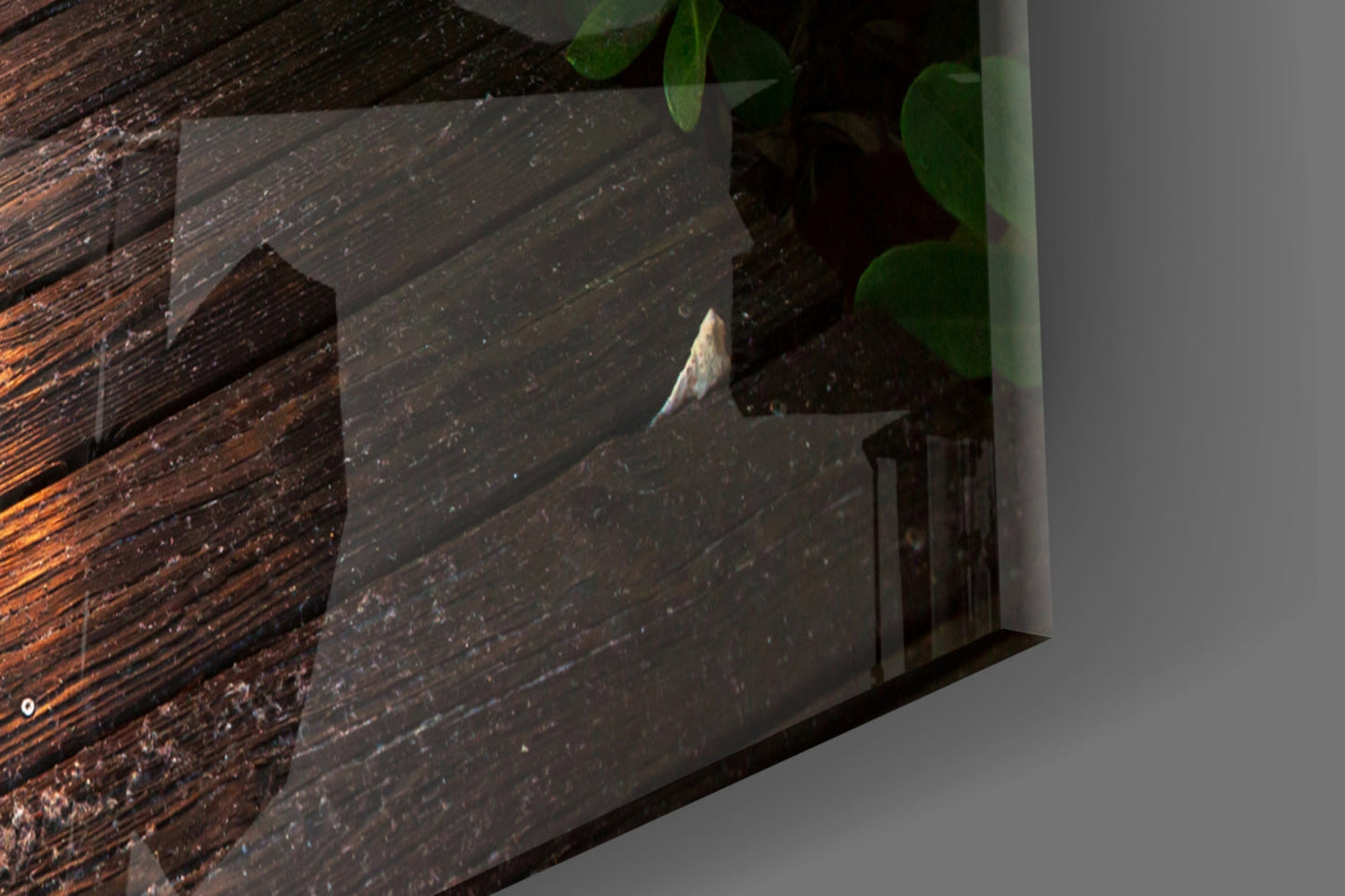 Golden Dune Boardwalk Glass Wall Art