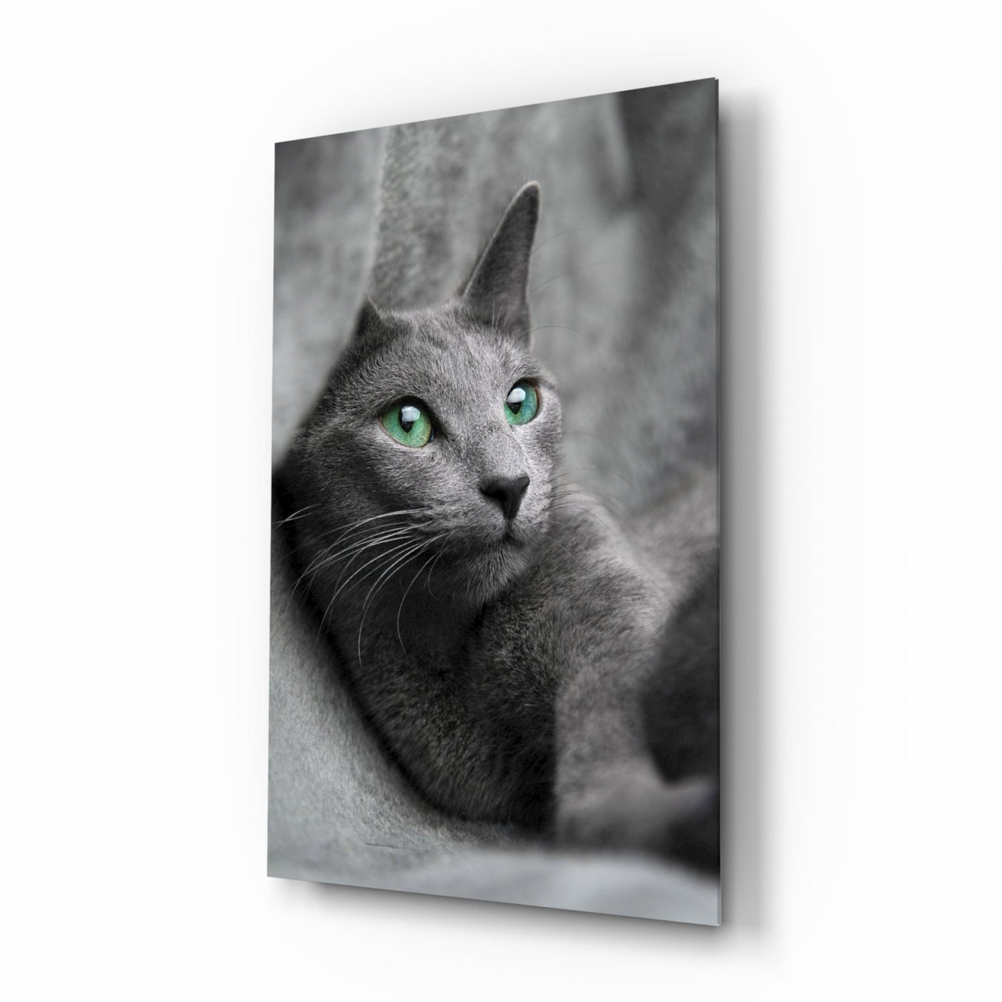 Artistic cat design for cat lovers printed on glass wall art