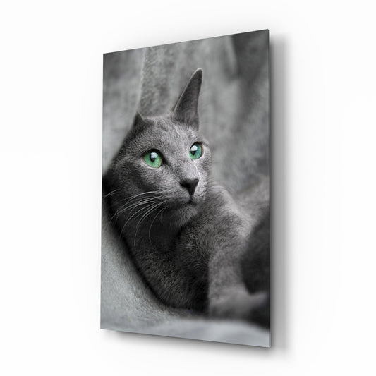 Artistic cat design for cat lovers printed on glass wall art