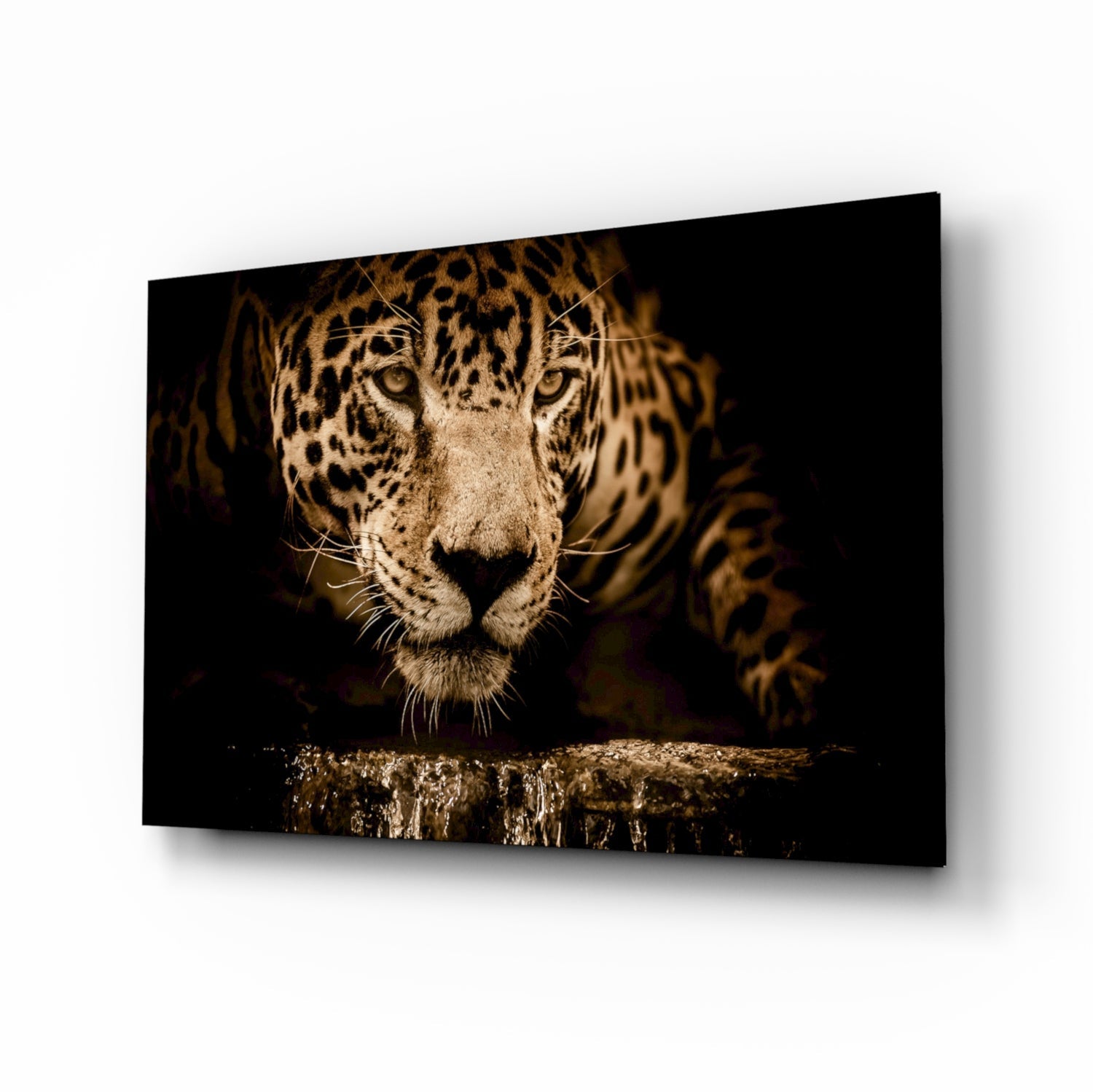 Golden leopard glass wall art at waterhole scene