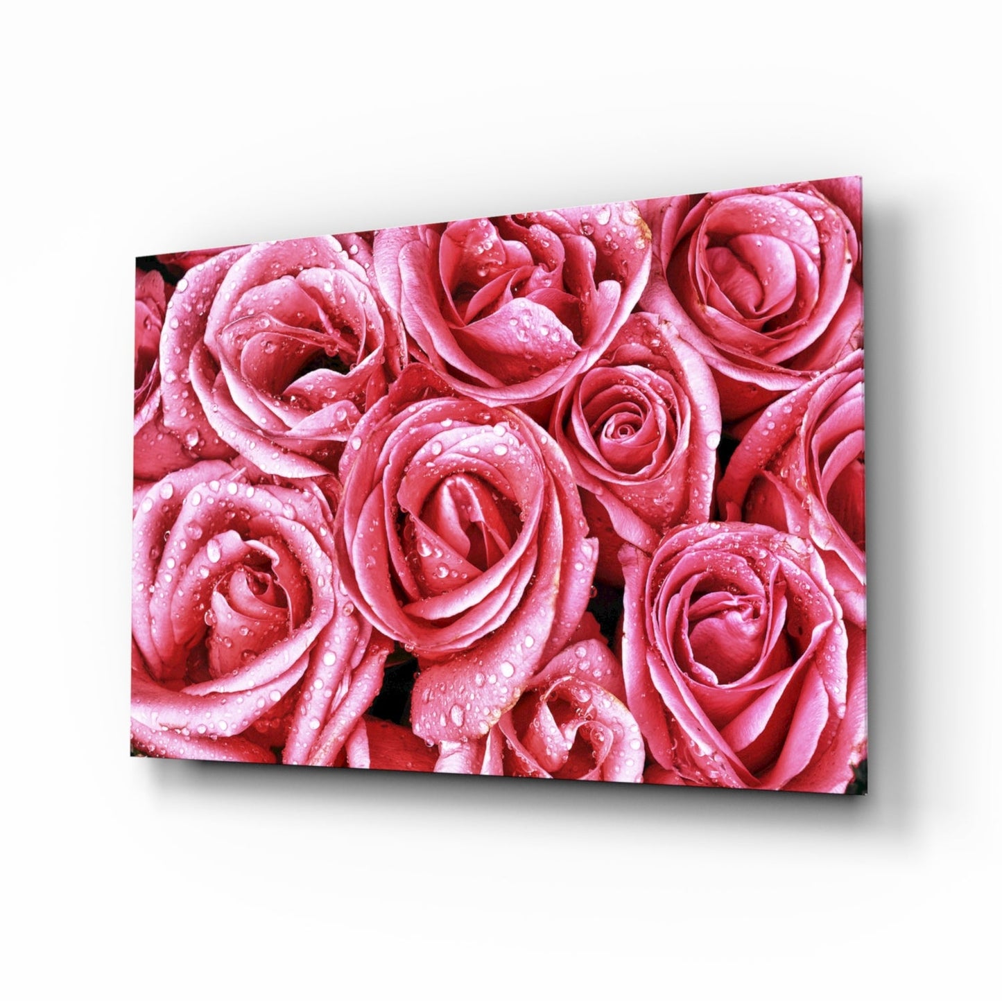 Pink rose bouquet glass wall art macro