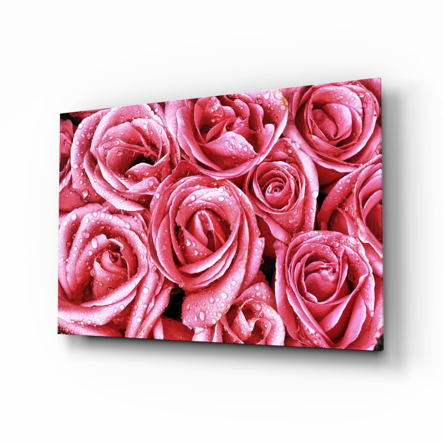 Pink rose bouquet glass wall art macro