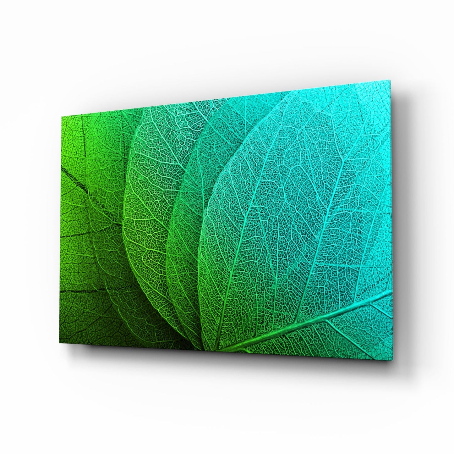 Green turquoise leaf vein gradient glass wall art