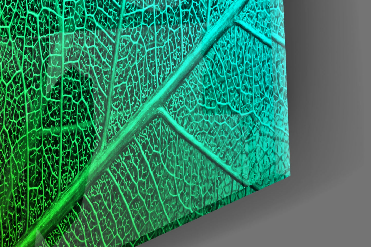 Green to Turquoise Leaf Vein Glass Wall Art
