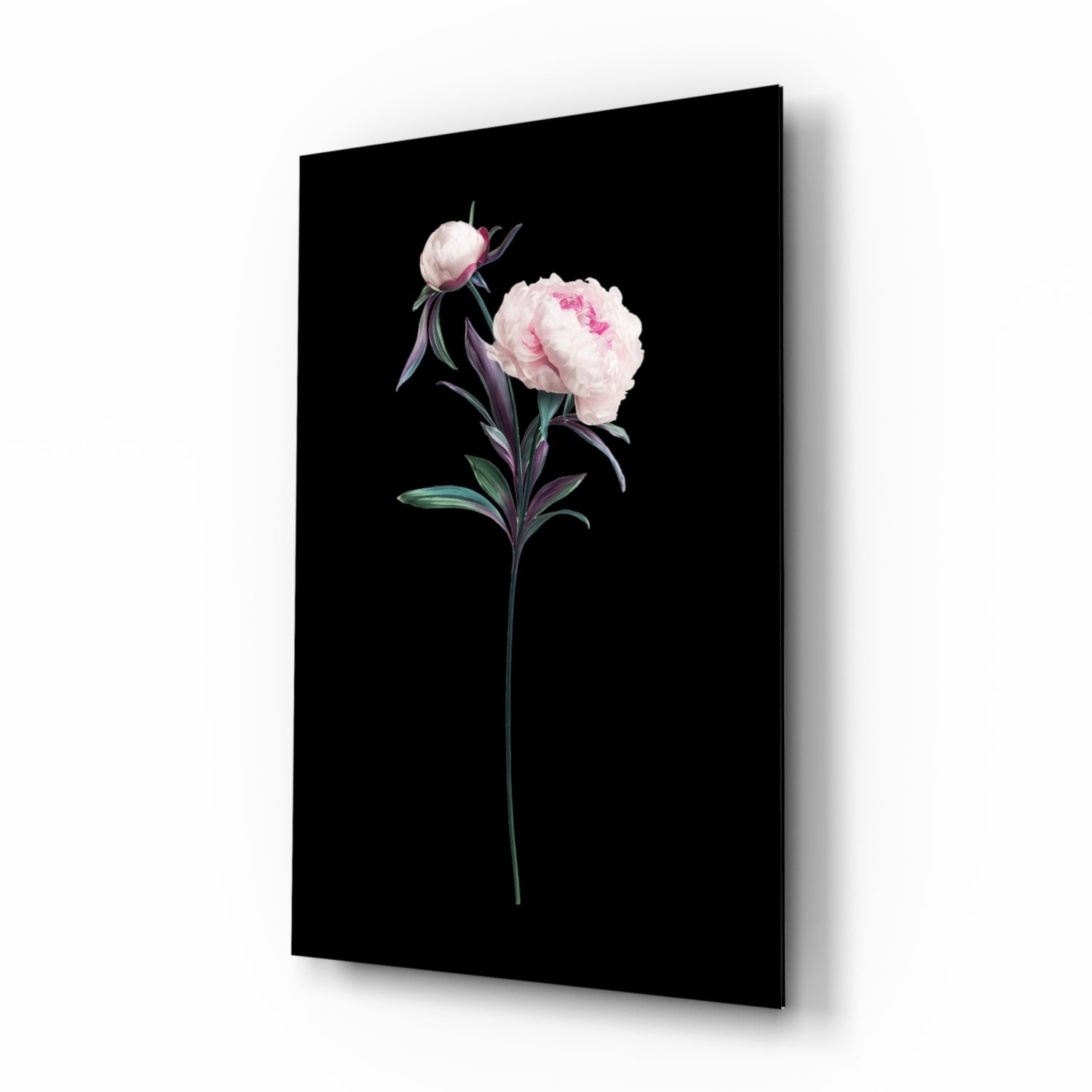 Pink Peony Botanical Study glass wall art