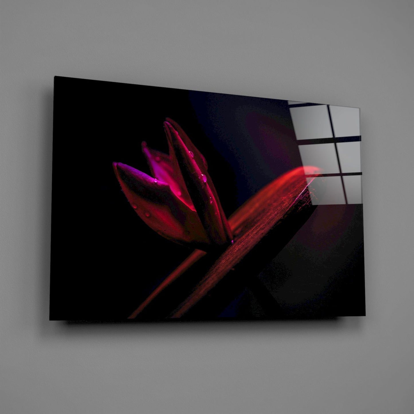 Crimson Tulip Bud Macro Glass Wall Art