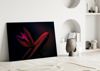 Crimson Tulip Bud Macro Glass Wall Art