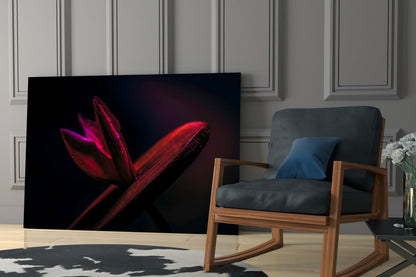 Crimson Tulip Bud Macro Glass Wall Art