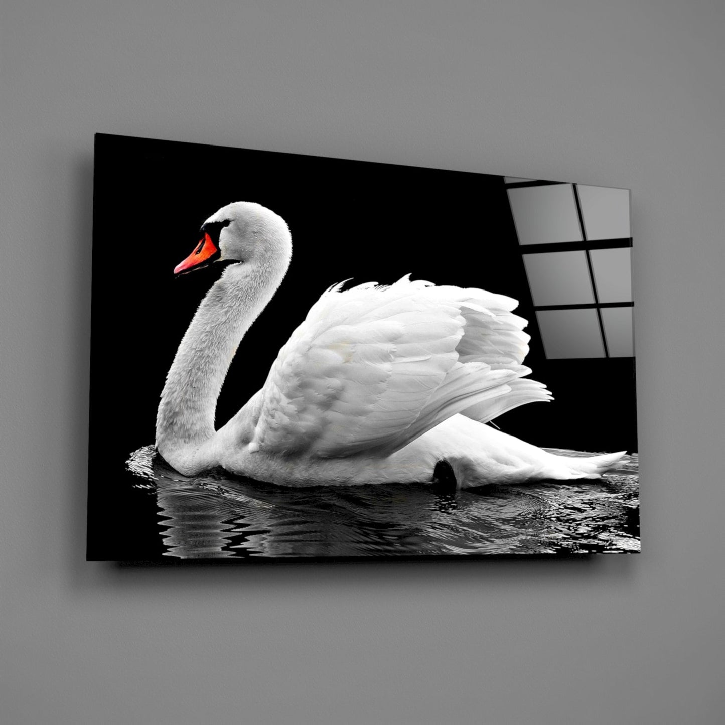 Swan Glass Wall Art Elegant White Bird Print