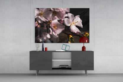 Cherry Blossom Dewdrop Glass Wall Art