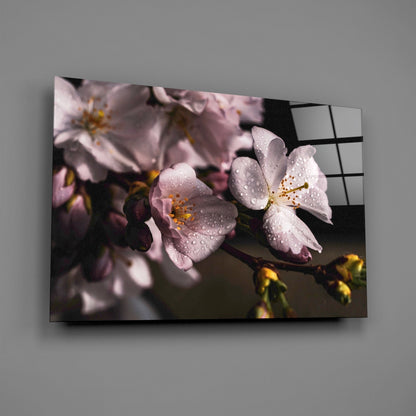 Cherry Blossom Dewdrop Glass Wall Art