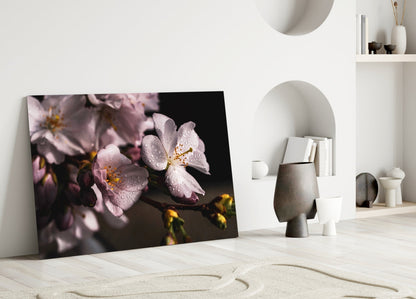 Cherry Blossom Dewdrop Glass Wall Art
