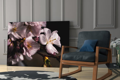 Cherry Blossom Dewdrop Glass Wall Art