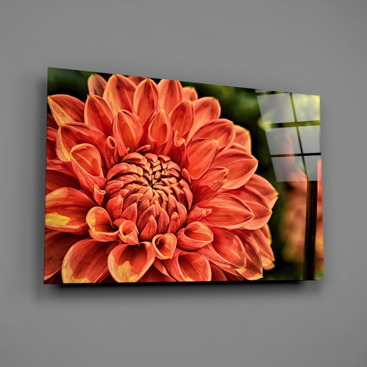 Orange Dahlia Macro Bloom Glass Wall Art