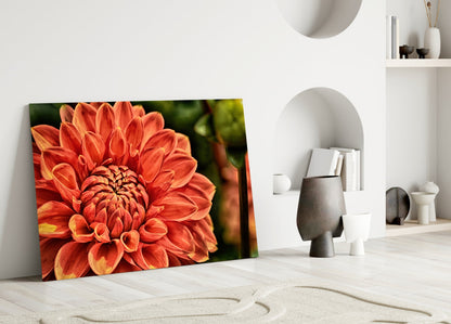 Orange Dahlia Macro Bloom Glass Wall Art