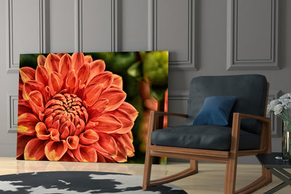 Orange Dahlia Macro Bloom Glass Wall Art