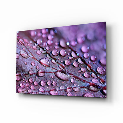 Violet dew drops on leaf macro glass wall art