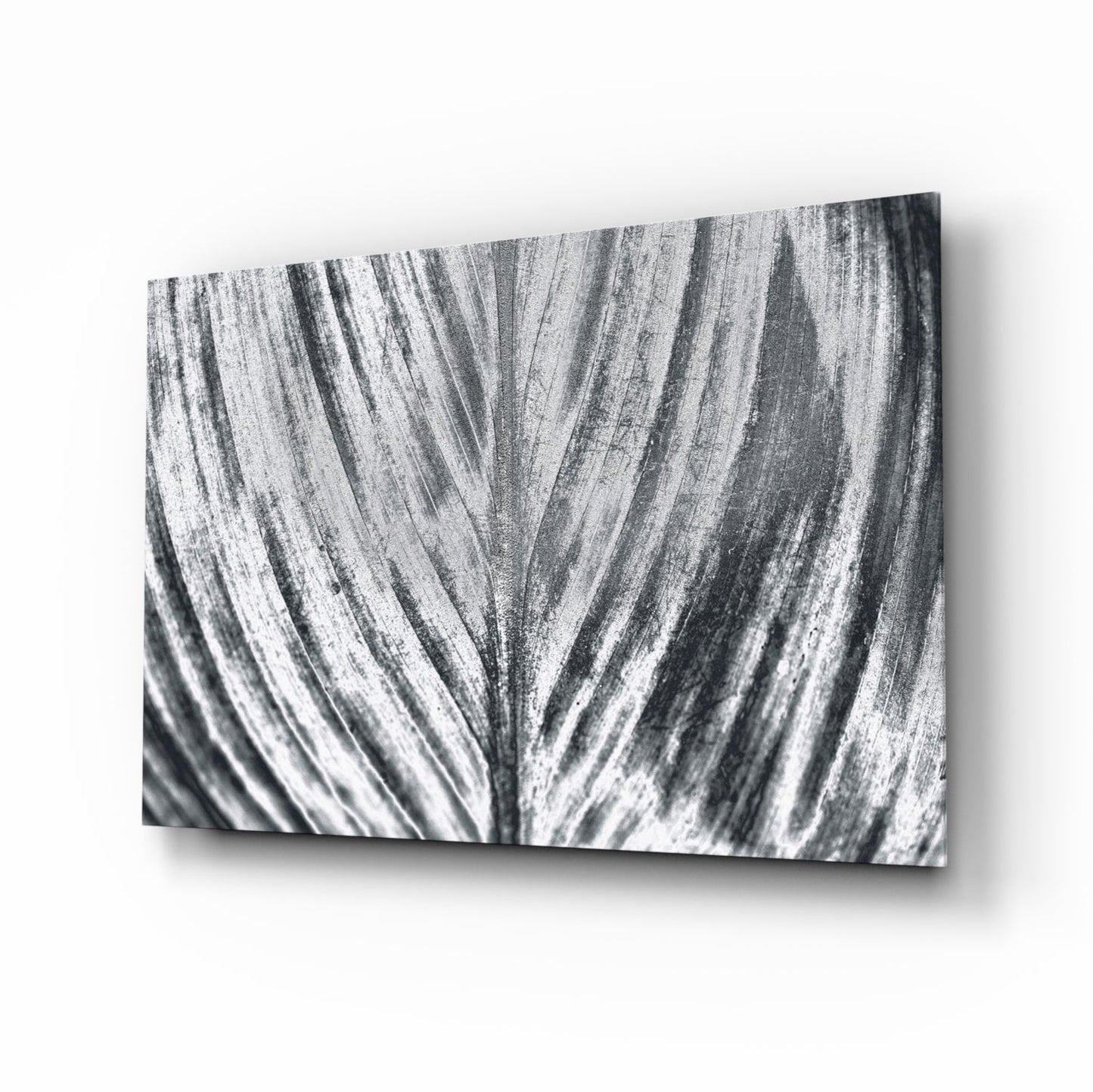 Silver brushed leaf monochrome botanical glass wall art