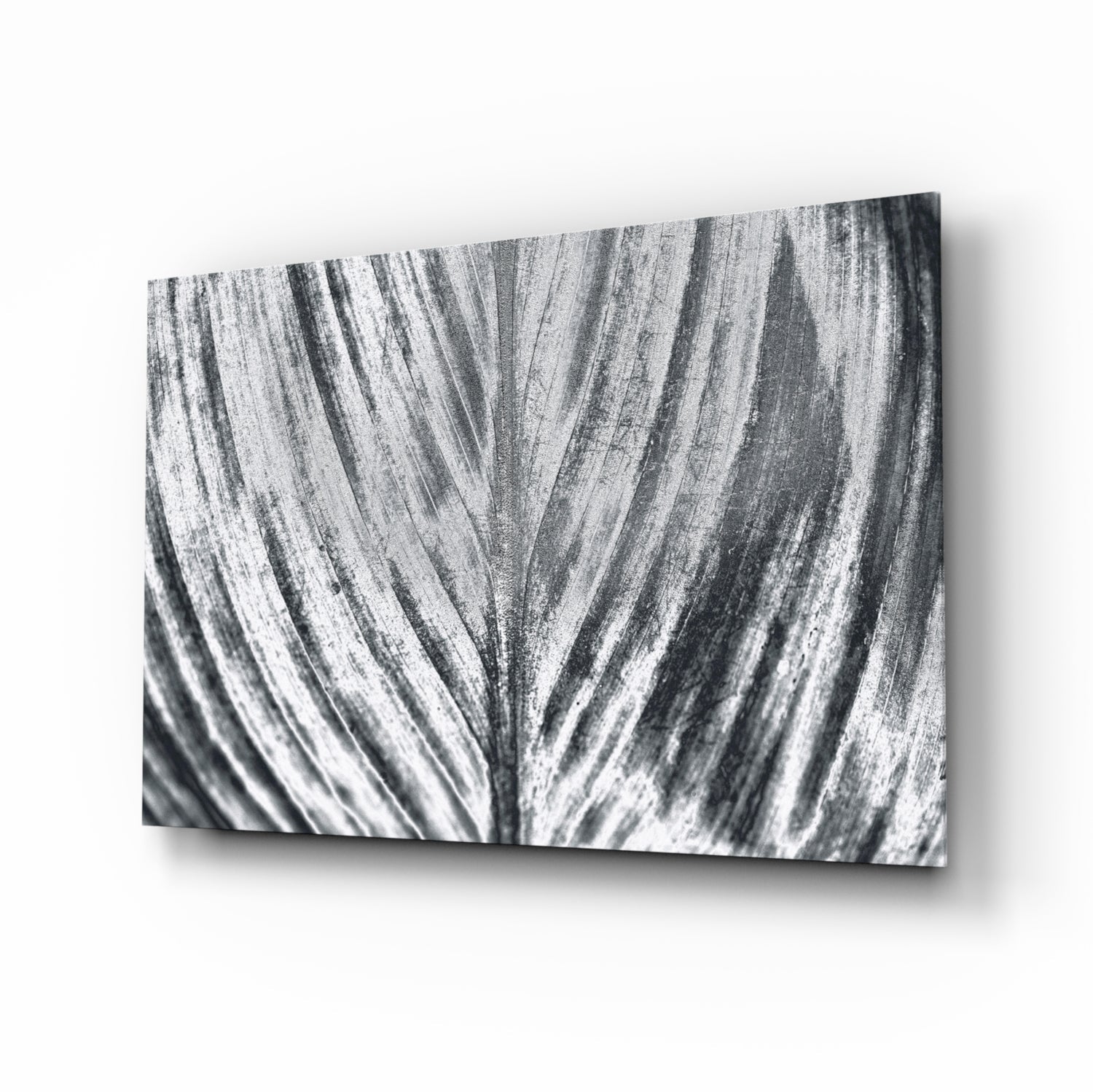 Silver brushed leaf monochrome botanical glass wall art