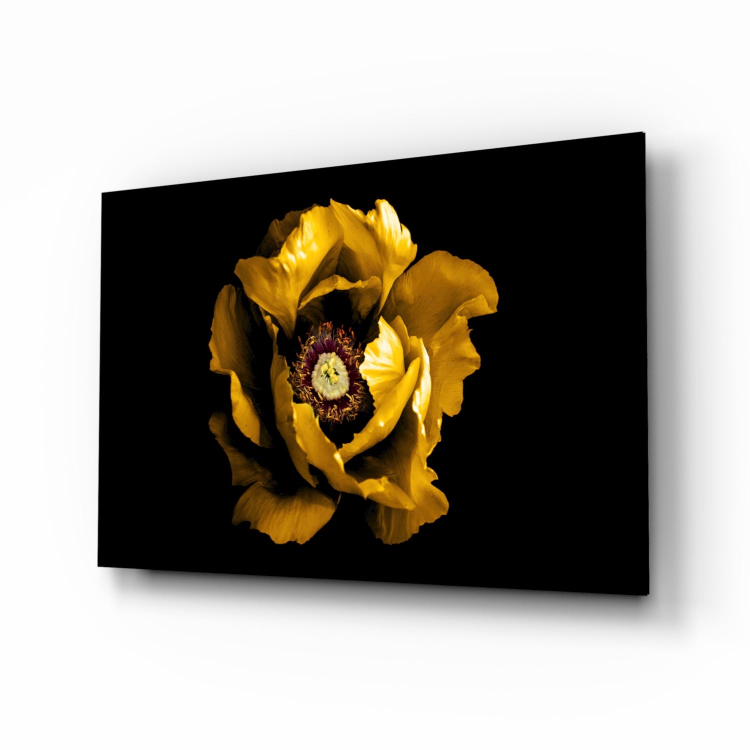 Saffron yellow flower glass wall art