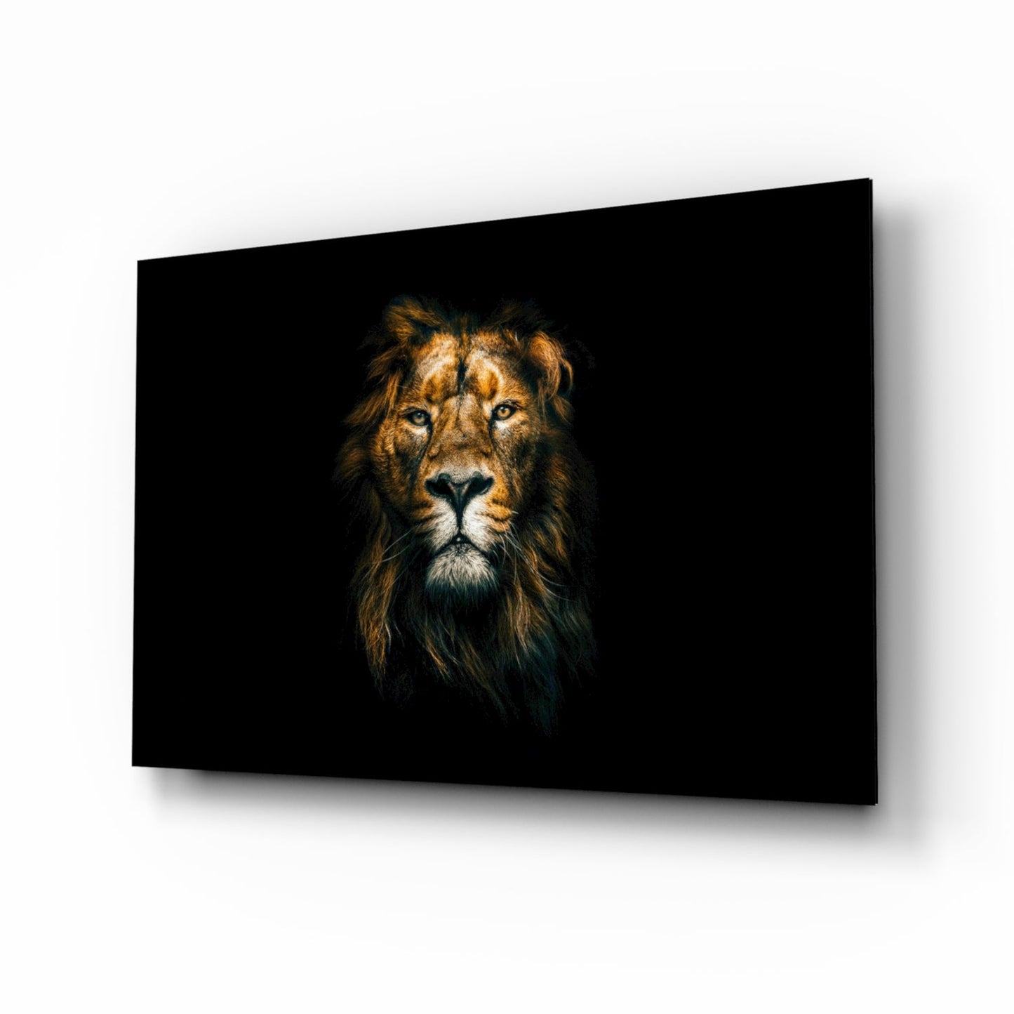 Golden lion head dark glass wall art