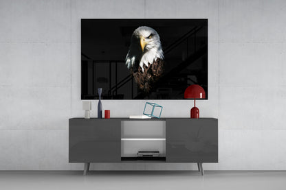Bald Eagle Glass Wall Art