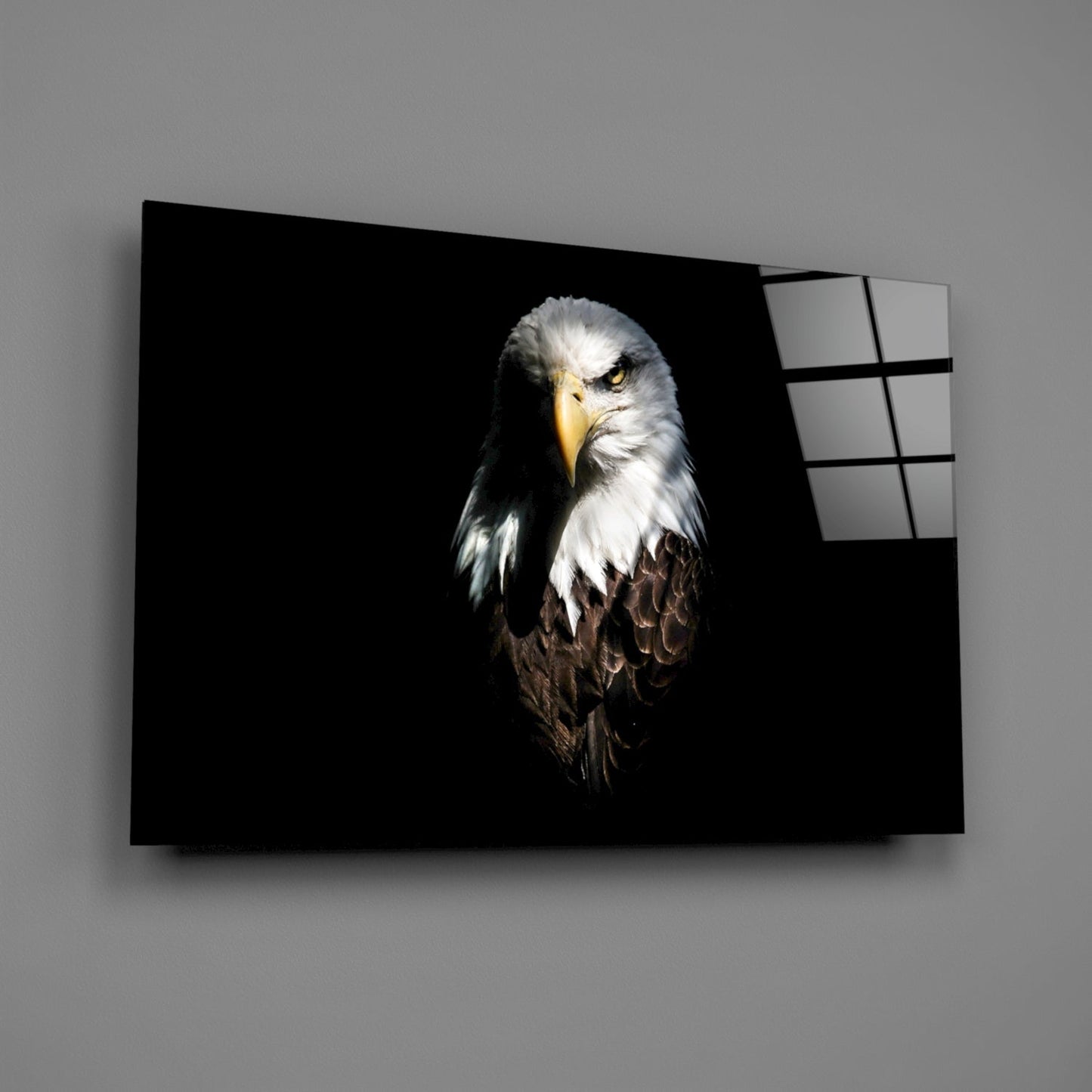 Bald Eagle Glass Wall Art