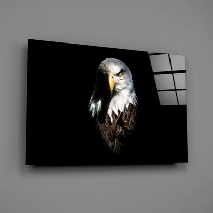 Bald Eagle Glass Wall Art