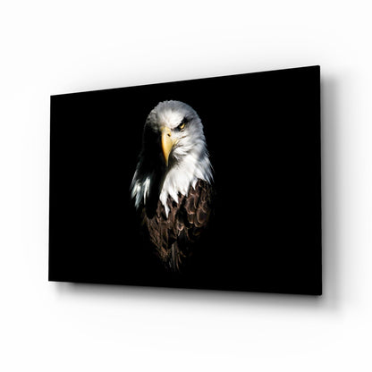 Bald Eagle Glass Wall Art