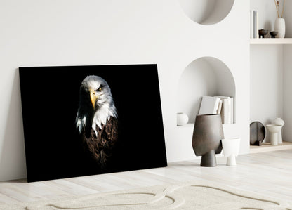 Bald Eagle Glass Wall Art