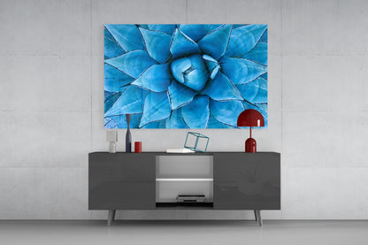 Blue Agave Succulent Glass Wall Art