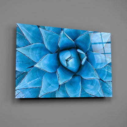 Blue Agave Succulent Glass Wall Art