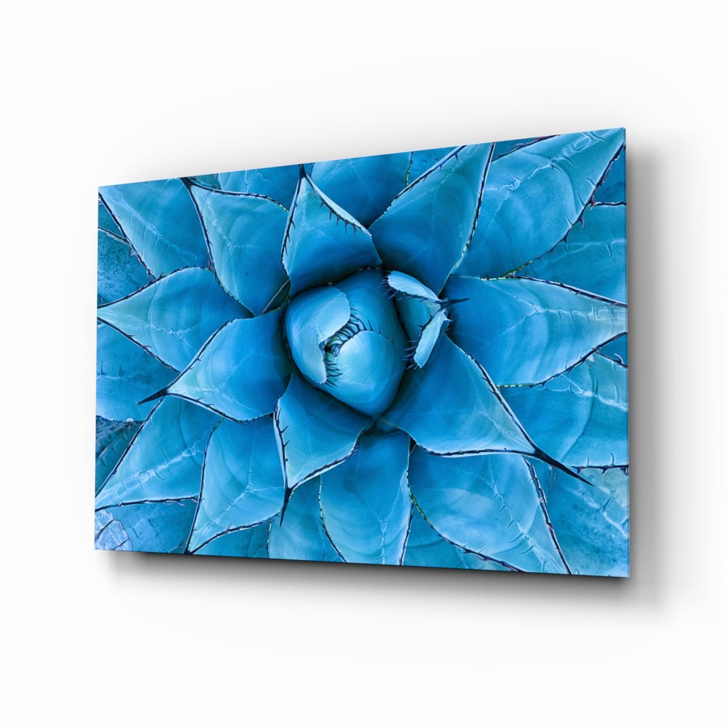 Blue agave succulent glass wall art