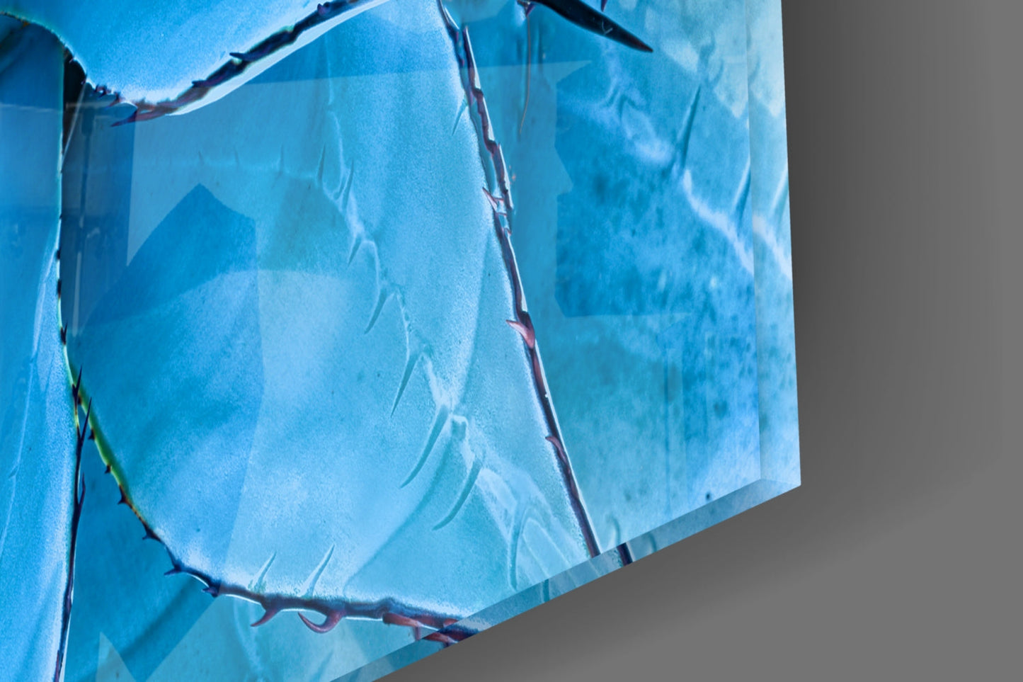 Blue Agave Succulent Glass Wall Art