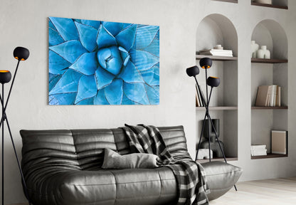 Blue Agave Succulent Glass Wall Art