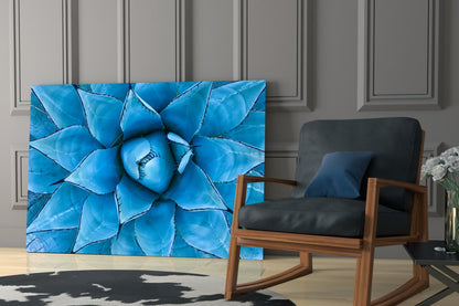 Blue Agave Succulent Glass Wall Art