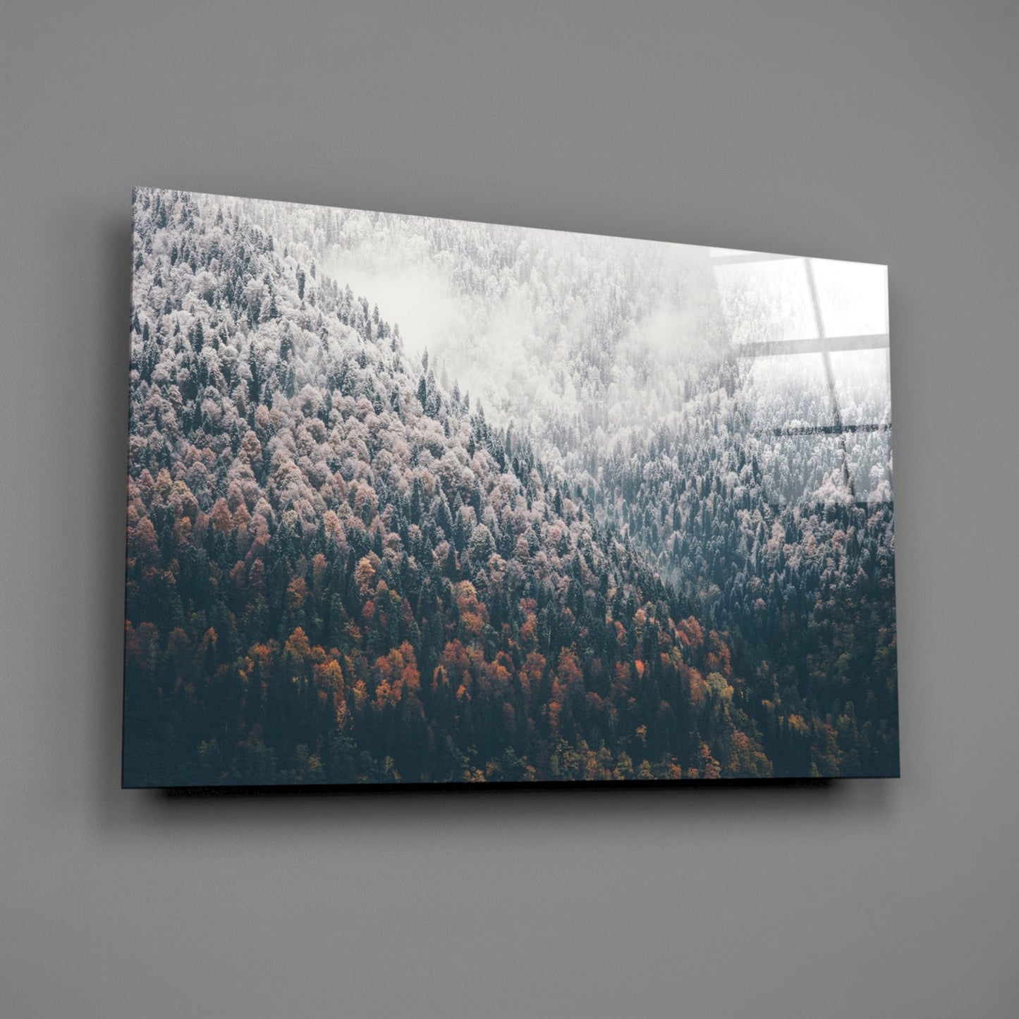 Autumn Forest Glass Wall Art