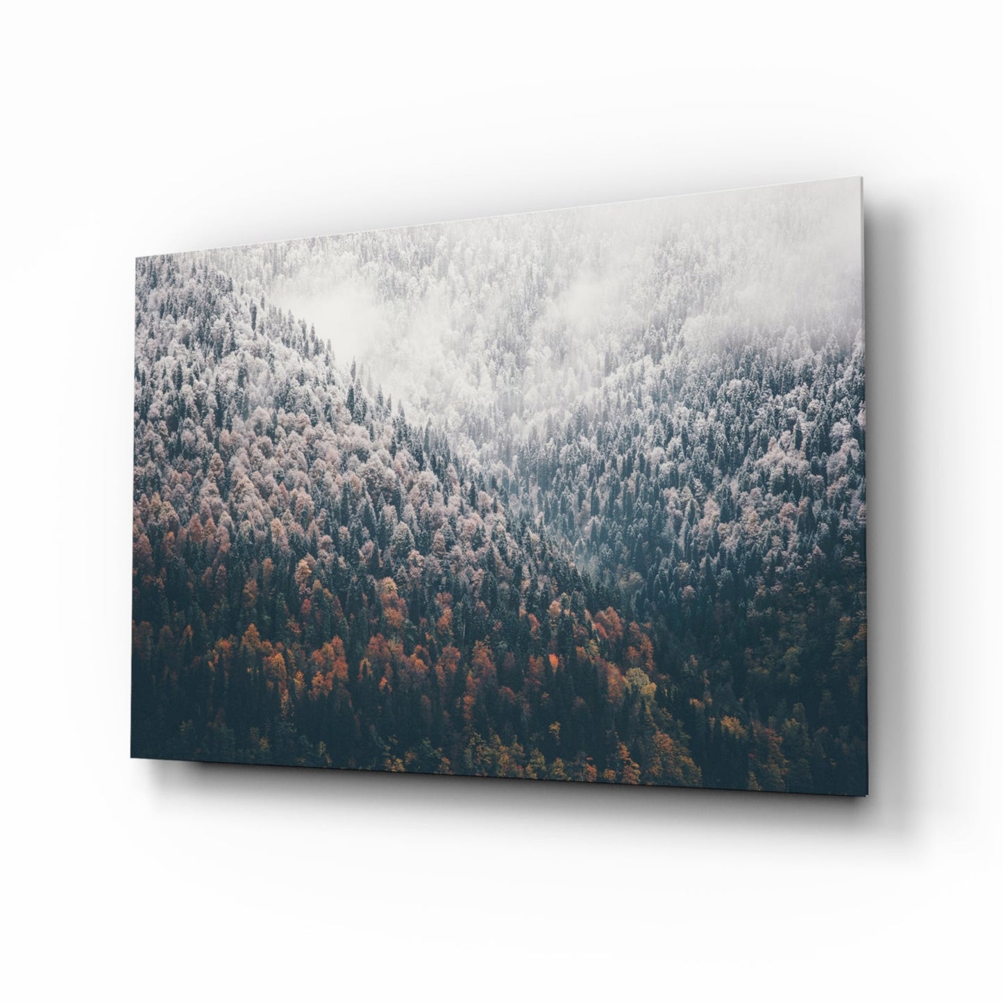 Misty autumn pine forest glass wall art in rust and amber