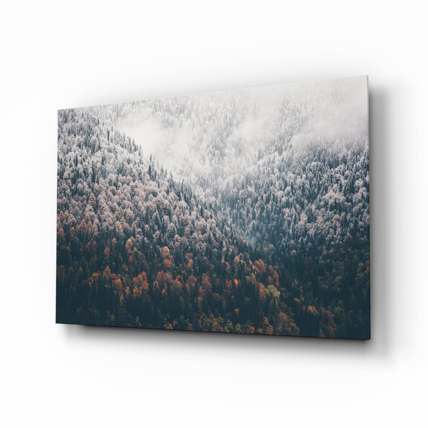 Misty autumn pine forest glass wall art in rust and amber