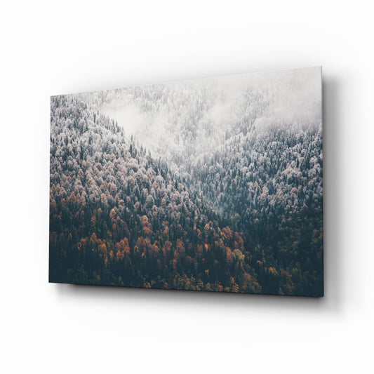 Misty autumn pine forest glass wall art in rust and amber